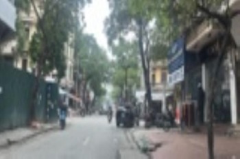 ⭐️ Bán Gấp Nhà Mặt Phố Châu Long 279m2 x Mt11m - Giá 95 Tỉ (TL)