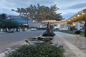 Nhà cấp 4 mặt tiền Nam Thọ 2 . DT:115m . Ngang 5m
