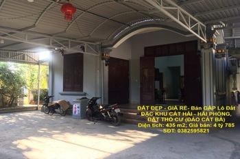 ĐẤT ĐẸP - GIÁ RẺ- Bán GẤP Lô Đất ĐẶC KHU CÁT HẢI - HẢI PHÒNG, ĐẤT THỔ CƯ (ĐẢO CÁT BÀ)