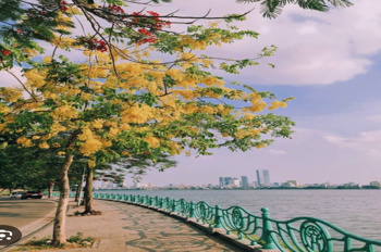 Siêu phẩm Nhà Tây Hồ Lạc Long Quân, 60m, MT 6m, vài bước ra mặt Hồ Tây!