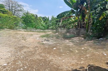 Đất nền Cát Lái 8x12m, Vị trí đẹp, Tiềm năng tăng giá cao - 4.5 tỷ