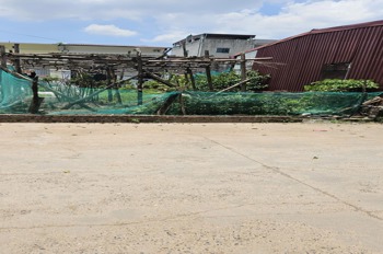Đất Kinh Doanh Sáp Mai, Võng La - 59m2 Full Thổ Cư, Ô Tô Vào Nhà