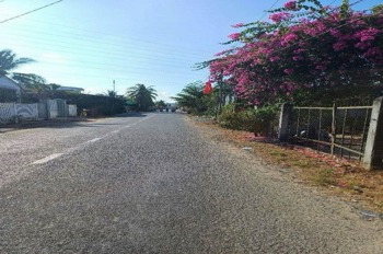 Đất nền Bình Chánh giá tốt - 147m2, SHR - Ngay đường Đoàn Nguyễn Tuấn