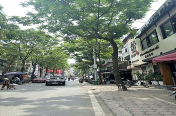 Bán nhà phố Phan Kế Bính 80m2, mặt tiền 5m, vỉa hè rộng - Ba Đình, Hà Nội
