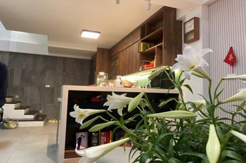 Bán gấp nhà riêng Ba Đình: 65m², 5 tầng, giá 13.2 tỷ