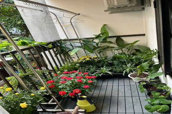 Trung tâm Hà Đông – Bán nhà 2 tầng đẹp – 50m ra phố, 100m ra chợ