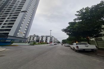 Siêu phẩm kinh doanh Shophouse Thành Trung, Trâu Quỳ. 90m2 6mx15m. Lh 0989894845