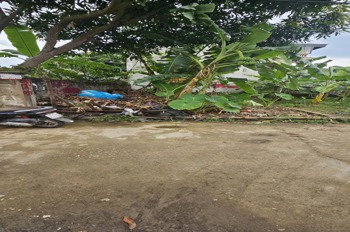 Đất đẹp 52m2 Ninh Nội, Sóc Sơn: Ngõ thông, ô tô vào đất, gần QL2A