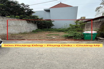 CHÍNH CHỦ CẦN BÁN LÔ ĐẤT 50M TẠI PHỤNG CHÂU-CHƯƠNG MỸ-HÀ NỘI