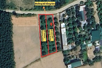 BÁN 2 LÔ ĐẤT THỔ CƯ LIỀN KỀ, GIÁ TỐT TẠI SUỐI TIÊN – DIÊN KHÁNH 🔥