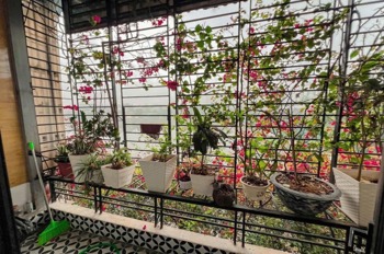 Mặt phố Bùi Xương Trạch - Kinh Doanh Đỉnh Cao, View Hồ - Giá 23 tỷ