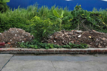 Đất vuông đẹp Hẻm xe tải 100m2 – Thạnh Xuân 47 Q12