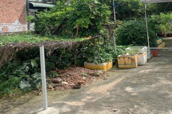 💥 Giảm 150tr! Đất Vuông Hẻm Xe Tải Thạnh Xuân 25, Q12 - 120m2, SHR