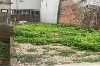 CHÍNH CHỦ CẦN BÁN LÔ ĐẤT 59,5M TẠI THƯỢNG VỰC-CHƯƠNG MỸ-HÀ NỘI