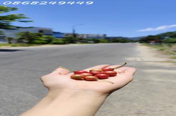 Đất đẹp Sơn Trà, vị trí đỉnh, gần cầu Rồng, gần biển Mỹ Khê, ô tô thông thẳng