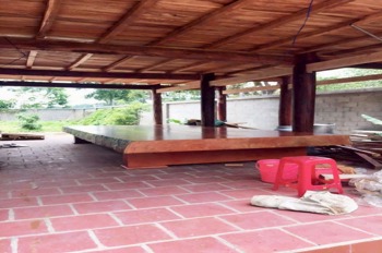 Nhà Vườn Nghỉ Dưỡng Củ Chi – 1024m2, Thổ Cư – Giá 6.9 Tỷ