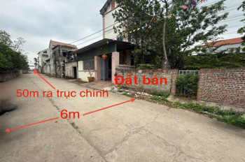 CHÍNH CHỦ BÁN SIÊU PHẨM 64M TẠI PHỤNG CHÂU-CHƯƠNG MỸ-HÀ NỘI