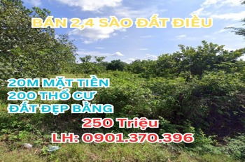 Bán Đất Nền Bình Phước 2.450m² - 200m² Thổ Cư - Giá Rẻ 250tr