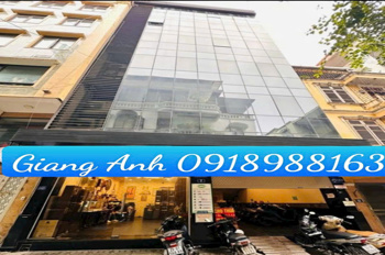 SIÊU PHẨM PHỐ THÁI HÀ PHÂN LÔ VỈA HÈ Ô TÔ TRÁNH - KINH DOANH