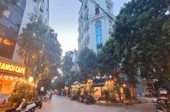 BIỆT THƯ MAN BỒI - HÀ ĐÔNG 92MX7 TẦNG, LÔ GÓC, VỈA HÈ- THANG MÁY - KINH DOANH  45 TỶ