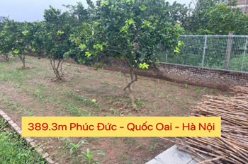 HÀNG FO 389,3M TẠI PHÚC ĐỨC - QUỐC OAI-HÀ NỘI