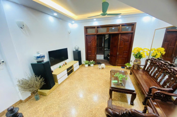 Nhà phân lô An Dương - dân xây - 40m oto tránh - phố kinh doanh tấp nập - giá nhỉnh 11 tỷ