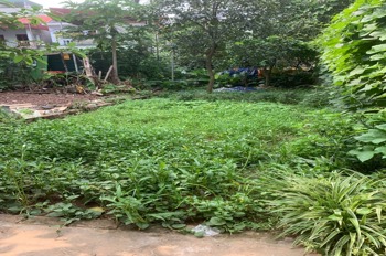 Bán Đất Ngõ 1144/96 Quang Trung, Hà Đông - Giá Tốt, Vị Trí Đắc Địa