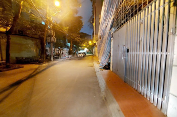 BÁN NHÀ MẶT NGÕ PHỐ HOÀNG CẦU. THUẬN TIỆN KINH DOANH