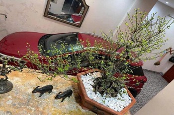 Nhà Đẹp An Dương - Ngõ Rộng Kinh Doanh - 3 Phút Ra Hồ Tây