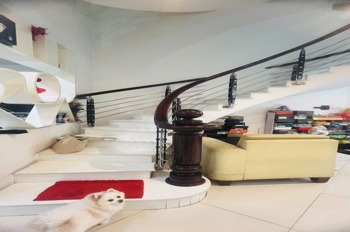 Bán Nhà Quận 3 - 5 Tầng, 4.1x18m, Giá 19.8 Tỷ - Vị Trí Đắc Địa