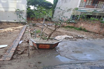 Đất Cao Lỗ, Uy Nỗ, Đông Anh - Giá Tốt, Vị Trí Đẹp