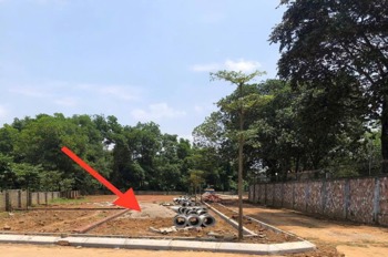 Đất Full Thổ Cư La Gián - Sổ Đỏ Sẵn - Đầu Tư Sinh Lời