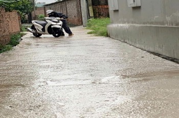 Bán Gấp 3 Lô Đất Xen Hồ Thuận An - Vị Trí Đắc Địa, Ô Tô Vào Tận Nơi