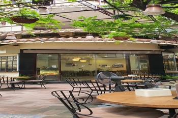 Bán Nhà Mặt Phố Trần Đại Nghĩa – 352m2 – Vị Trí Đắc Địa – Kinh Doanh Sầm Uất