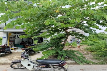 Bán đất Tái Định Cư Tứ Hiệp 30m2 - Vị Trí Đắc Địa, Hiếm Có