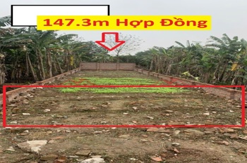 HÀNG FO CHÍNH CHỦ BÁN LÔ ĐẤT 147,3M TẠI HỢP ĐỒNG-CHƯƠNG MỸ-HÀ NỘI