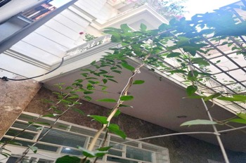 Bán nhà Láng Hạ 100m2, 5 Tầng, Giá 17.65 Tỷ - Vị Trí Đắc Địa