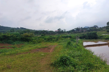 CHÍNH CHỦ CẦN BÁN  2,5 ha ĐẤT BÁM SUỐI VIEW SIÊU ĐEP TẠI LƯƠNG SƠN – PHÚ THỌ