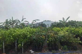 0.9Ha Đất đầu tư GD View sông – Phan Huy Ích Gò Vấp S