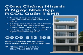 Công Chứng Nhanh Quận 1 - Bán Nhà Phường Cô Lực, SHR, 11.8 tỷ