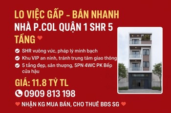 Bán Nhanh Nhà Phường Cô Giang, Quận 1 - 5 Tầng, Sổ Hồng Riêng