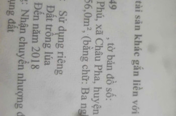 Chủ cần bán 3556mv mt châu pha suối nghệ