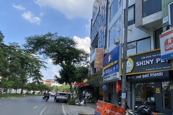 Bán nhà mặt phố Hoàng Cầu 88m² 4 tầng mặt tiền 4,2m vỉa hè rộng đang cho thuê chỉ 55 tỷ