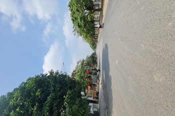 Đất đấu giá Thuận An, Hà Nội (Đặng Xá, Gia Lâm cũ). 80m2, đường trục chính, 7 tỷ x.  Lh 0989894845