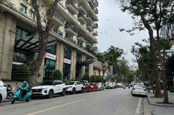 BÁN GẤP MẶT PHỐ SIÊU ĐẸP VIP NHẤT PHỐ PHAN BỘI CHÂU, PHÁP LÝ CỰC KÌ XỊN SÒ 1 SỔ 