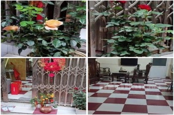 Bán Gấp Nhà 3 Tầng Ngõ Chùa Liên, Bạch Mai, Hoàng Mai - Giá 7.2 Tỷ