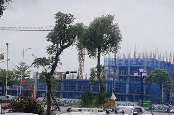 Chính chủ bán đất Cự Khê Thanh Oai, ngay khu đô thị Thanh Hà, 81m2. Giá 10 tỷ