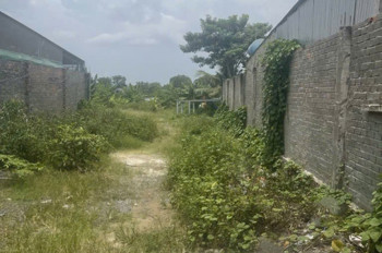 Đất SHR Mặt tiền 8268m2, Nở hậu – Phạm Thị Giây Hóc Môn