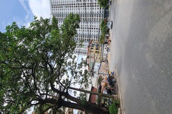 Nhỉnh 9 tỷ có 60m2 đường ô tô tránh tại Học viện Nông nghệp, Trâu Quỳ, Gia Lâm. Lh 0989894845