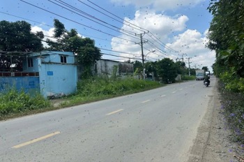 Bán Đất Mặt Tiền Đường Thanh Niên, Bình Chánh - 600m2, Giá 7.3 Tỷ